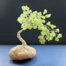Stromeček štěstí-bonsai