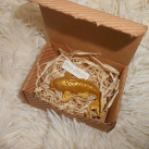 Zlatá rybka v krabičce