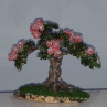 Růžová bonsaj - sleva