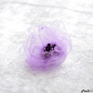 Květinka lístečková - fialková