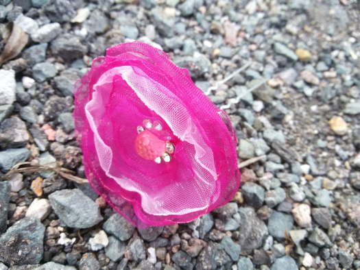 Vlásenka purpurový květ. č.1277