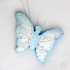 Motýl perleťový modrý