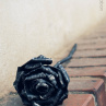 Kovaná růže bez lístků