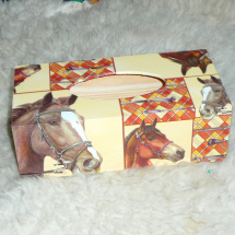 krabička na kapesníky koně