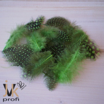 Peříčka kropenatá - tm. zelená (10 ks)