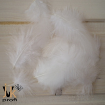 Peříčka - čistě bílá (10 ks)