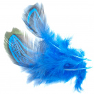 Peříčka bažantí obrysová, barvená - barva tmavě modrá 4ks