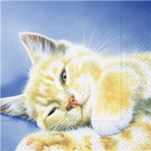 Ubrousek spící kočka (LN0261) (211616236)
      