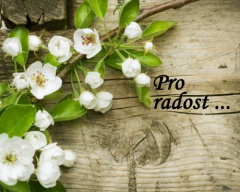 Pro radost