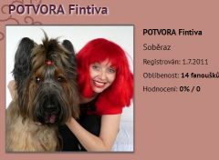 Jak má správně vypadat váš profil - 1. LEKCE