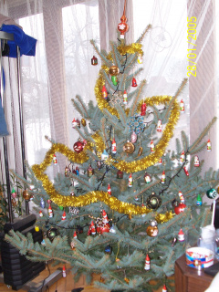 Vánoce