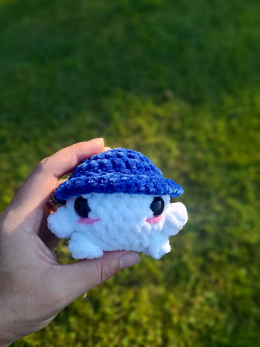 Mushroom Boy