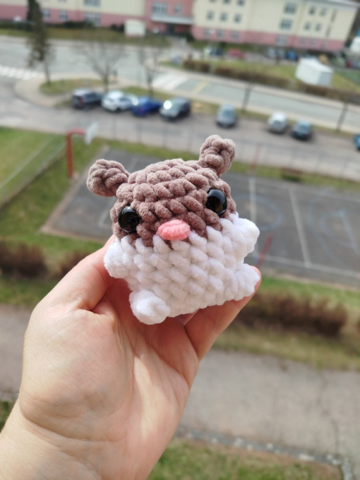 Mini křeček