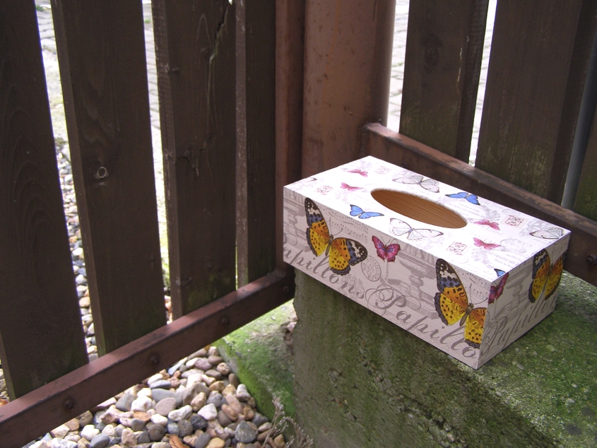 Krabice na kapesníky - Motýli