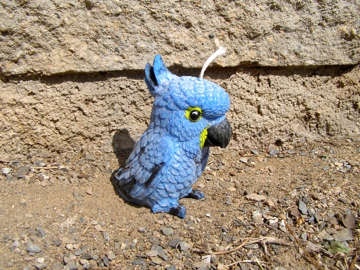 Svíčka vonná z palmového vosku - Papoušek Ara hyacintový - tropic