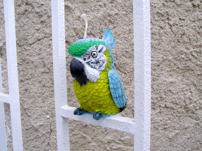 Svíčka vonná z palmového vosku - Papoušek Ara Ararauna - tropic