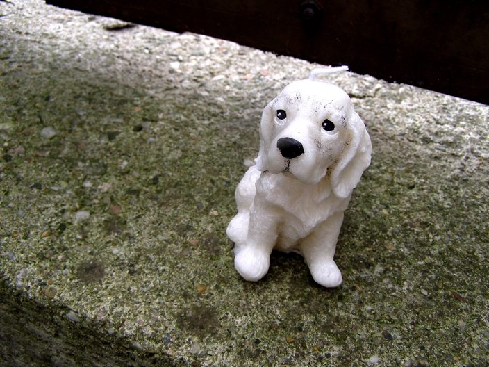 Svíčka z palmového vosku - Pes 8 cm - bílý