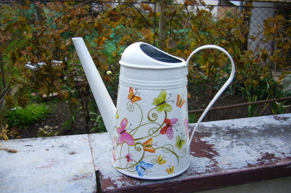 Šum motýlích křídel