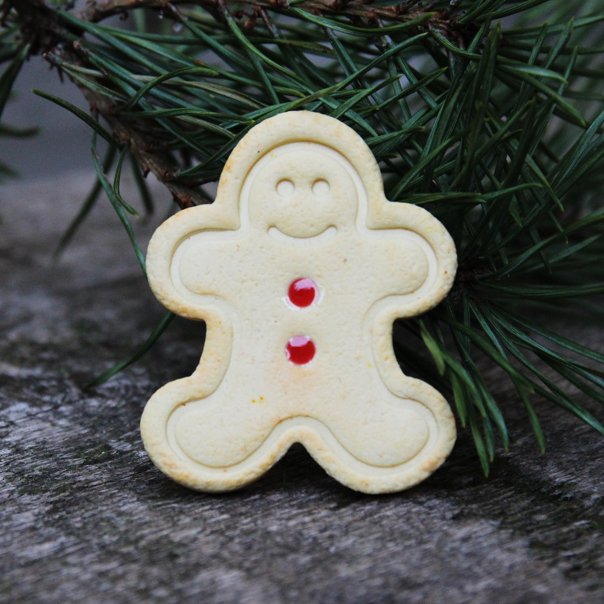 Sušenkový panáček 