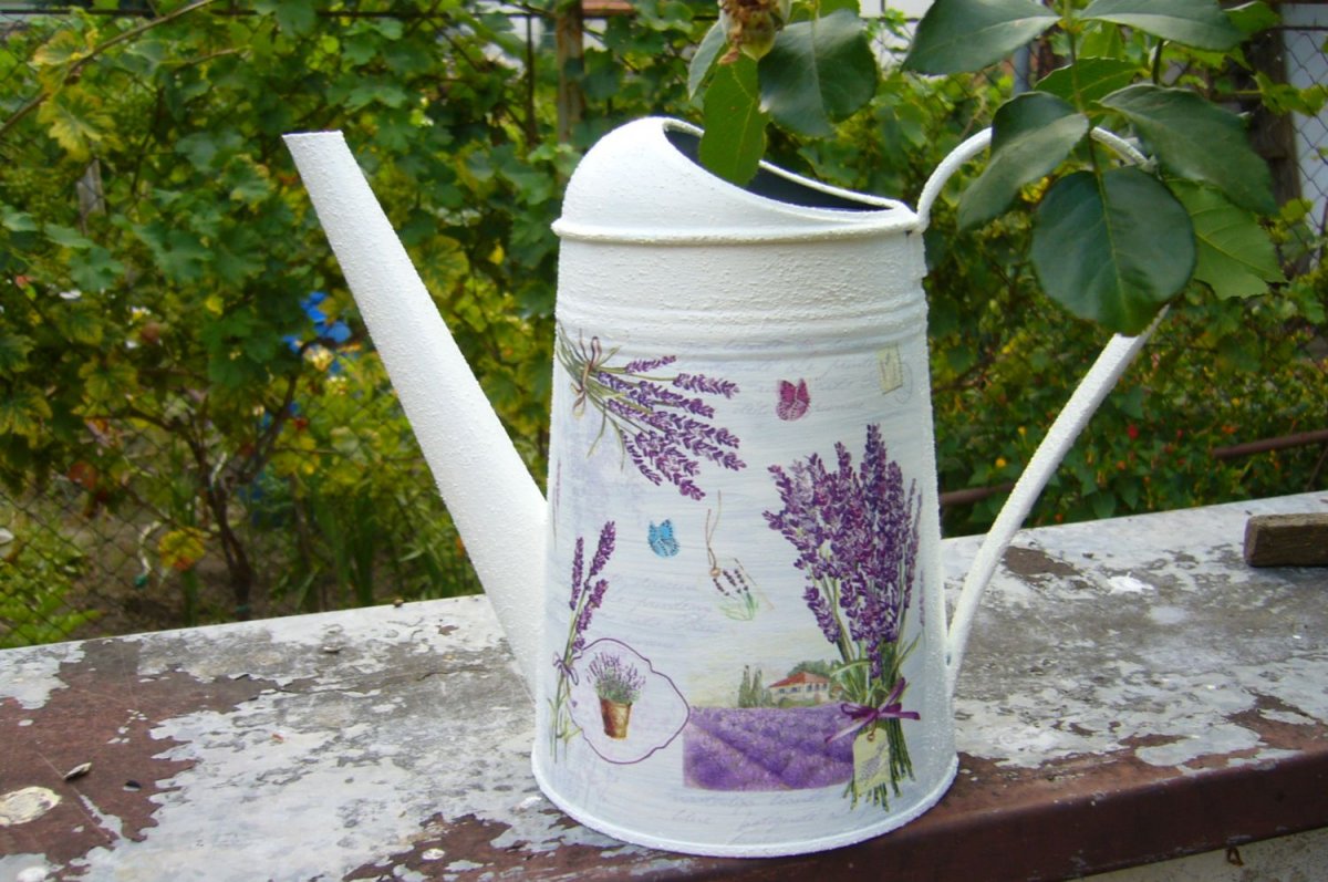 Levandulové zátiší