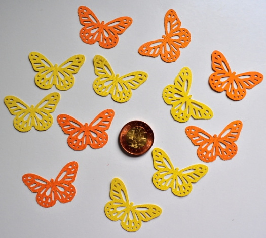 motýl oranž