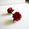 Kawasakiho růže - puzetky