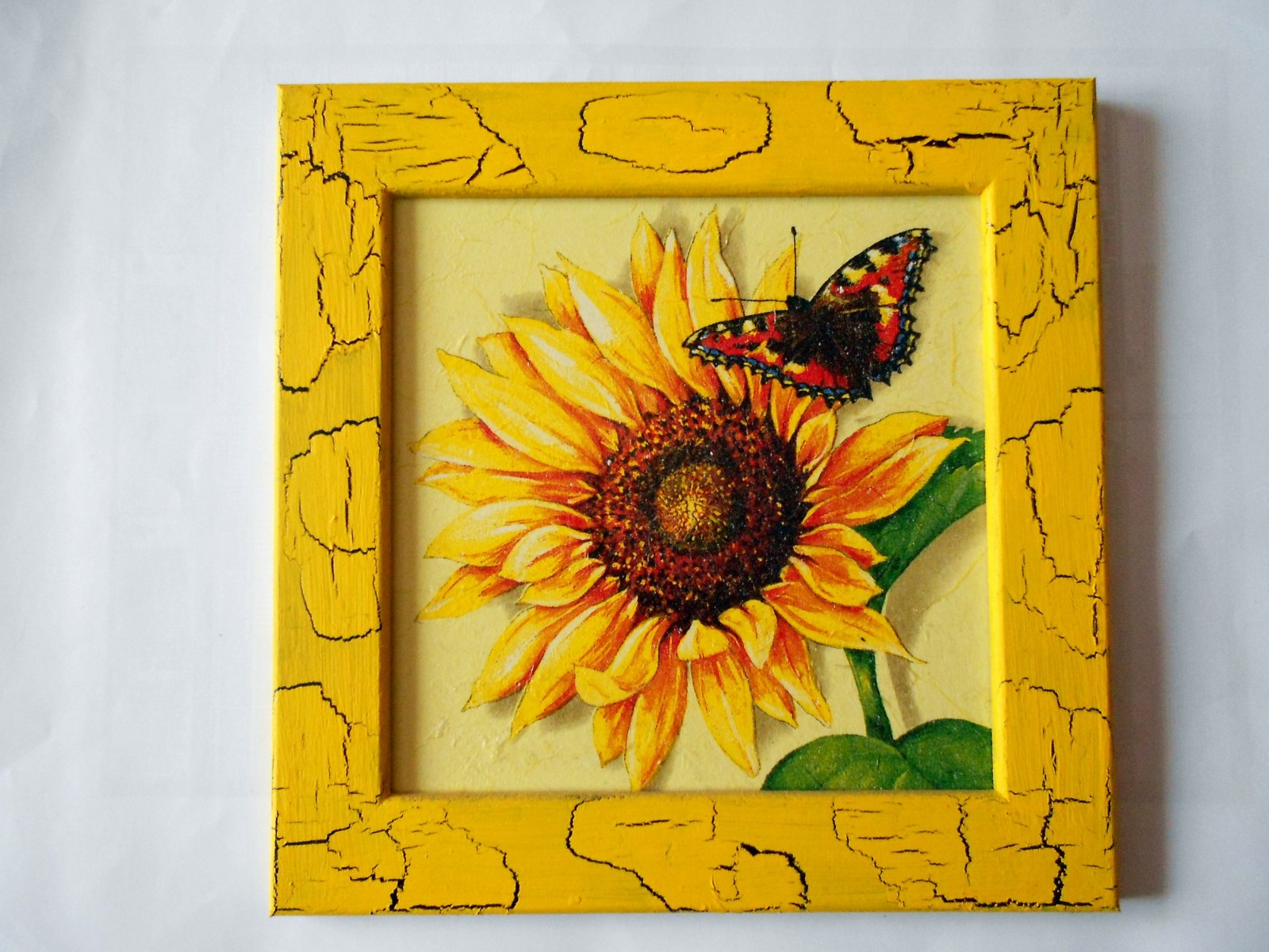 Slunečnice s motýlem I.