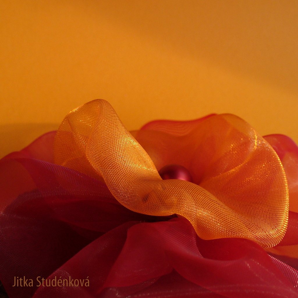 Na louce vyrostla květina IV.