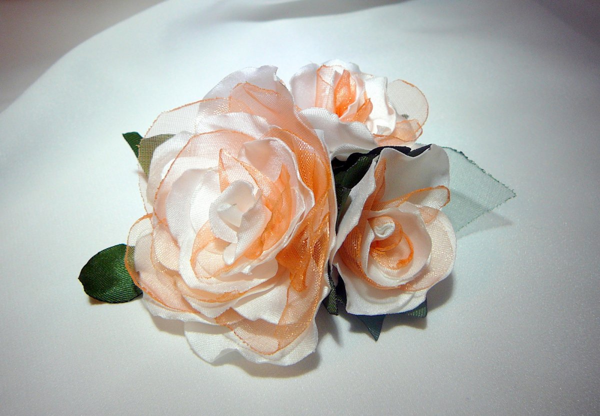 Bílo-meruňková brož.