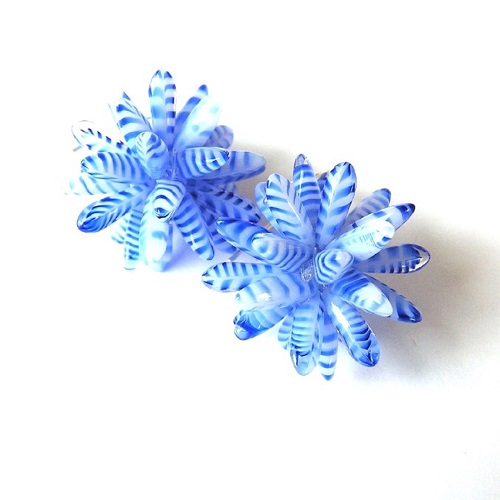 Modře pruhovaní ježci