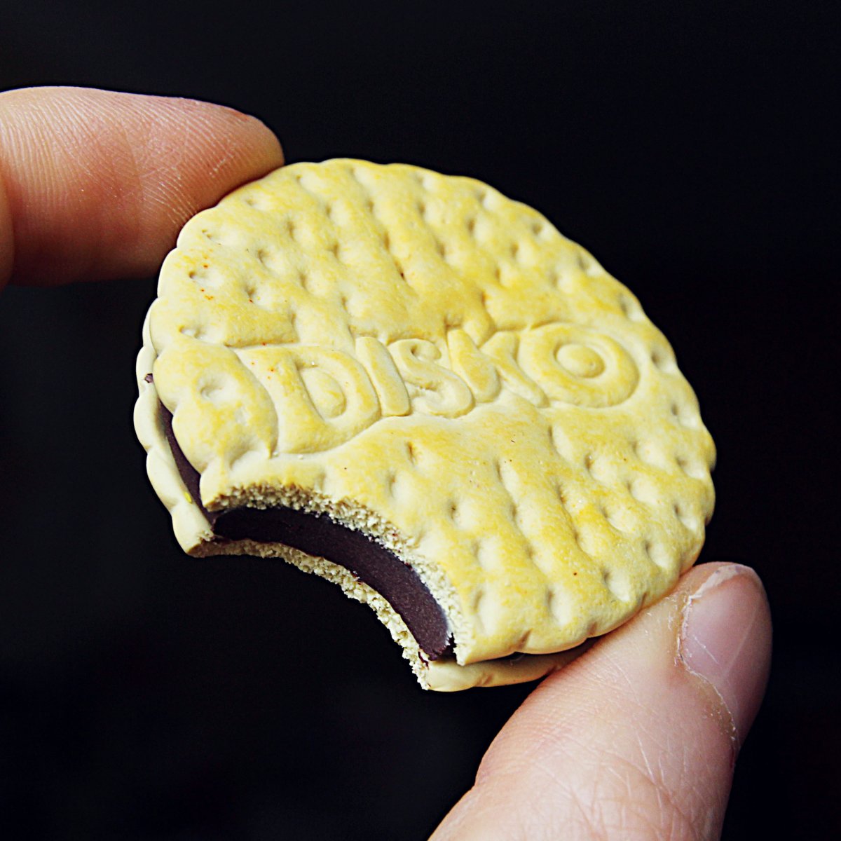 Disko sušenka nakousnutá