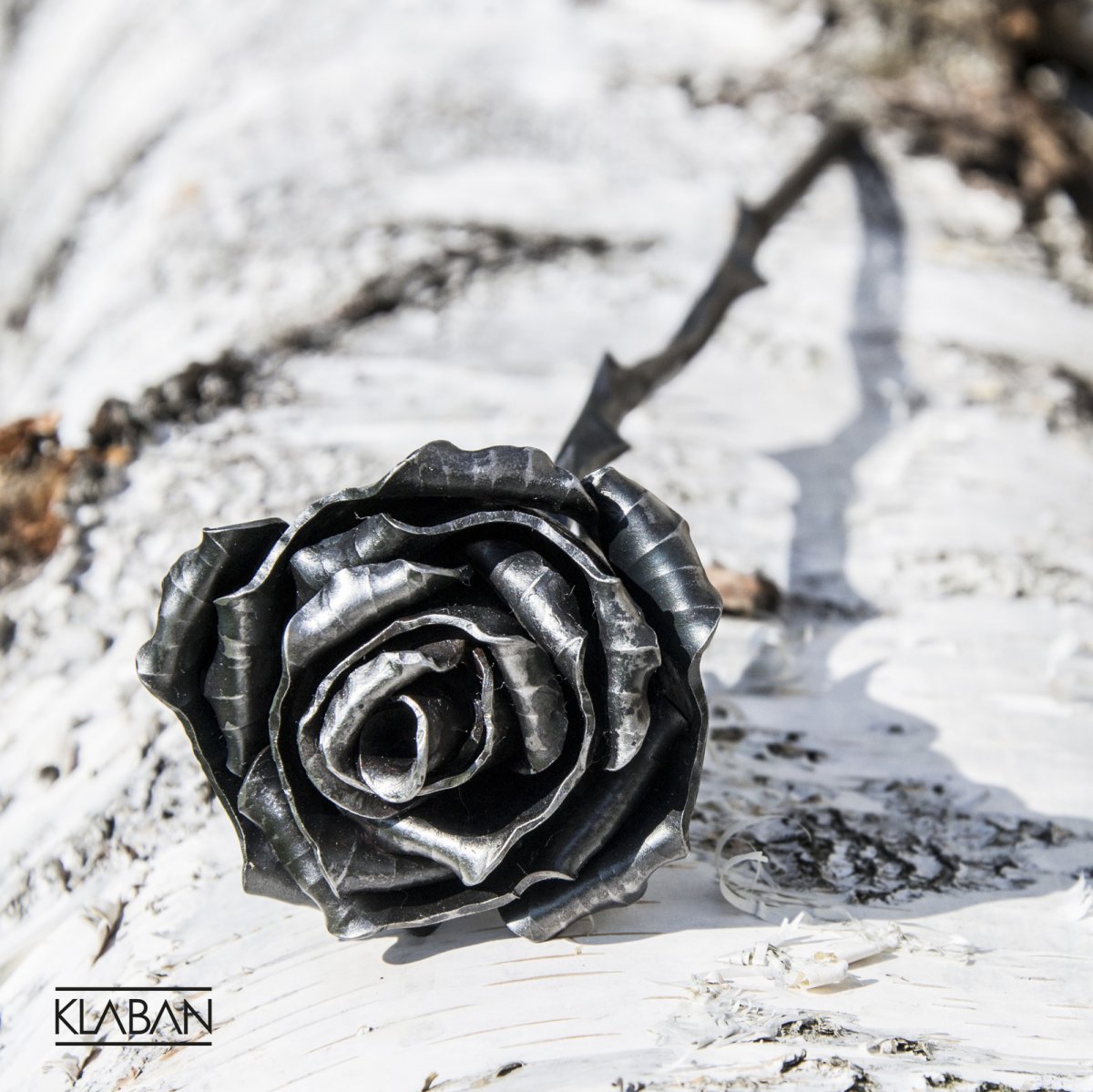 Kovaná růže bez lístků ČIRÁ