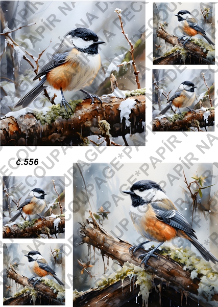 Rýžový papír A4 pro tvoření - Ptáčci - KB0556