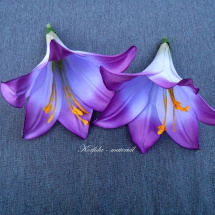 Květ lilie barvy fialové
