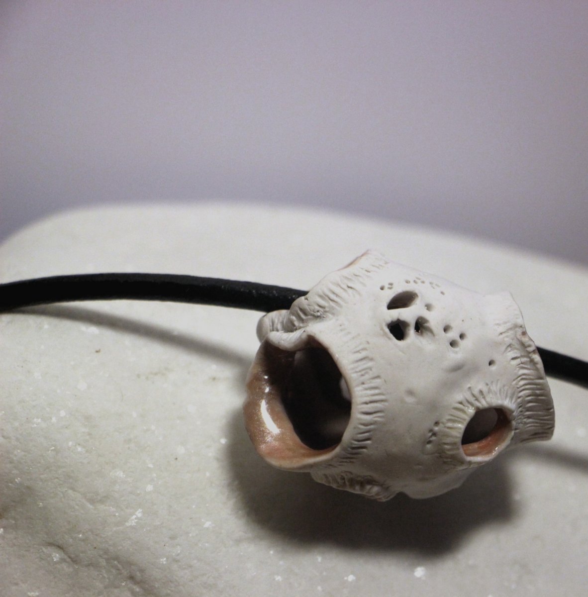 Náhrdelník - Mořská schránka, živočich