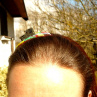 Hrad Švihov - čelenka