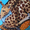 Žirafičí obrázek