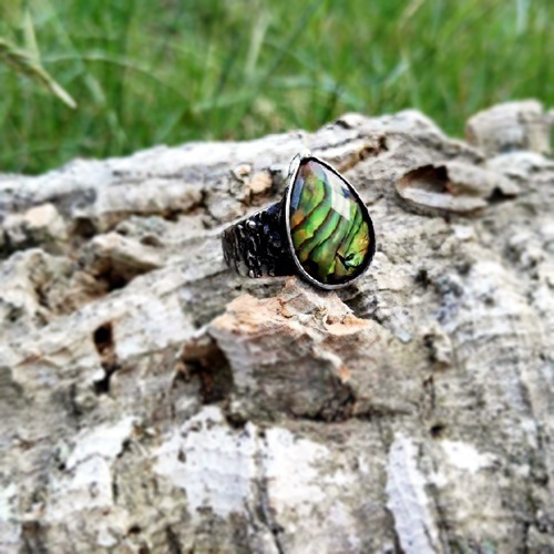 Prsten - paua mušle