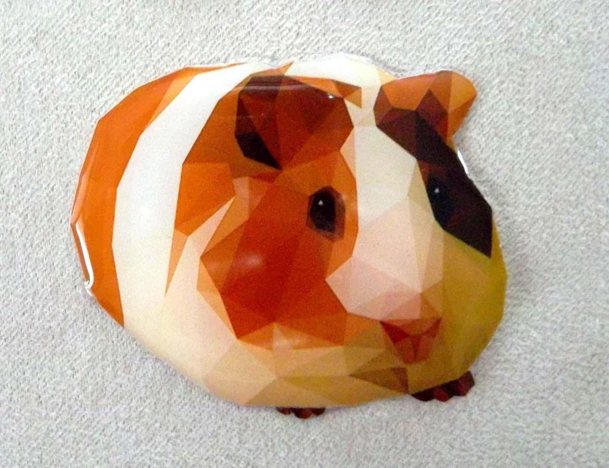 Morče Zrzeček - autorská originální brož