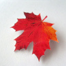 Červenožlutý javorový list - originální brož