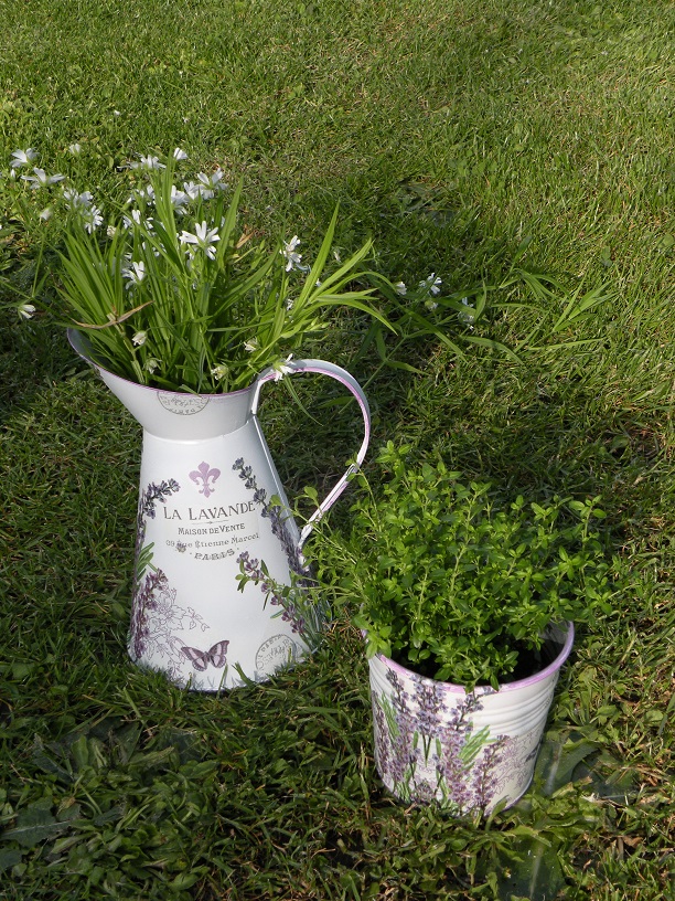 Džbánek - levandule