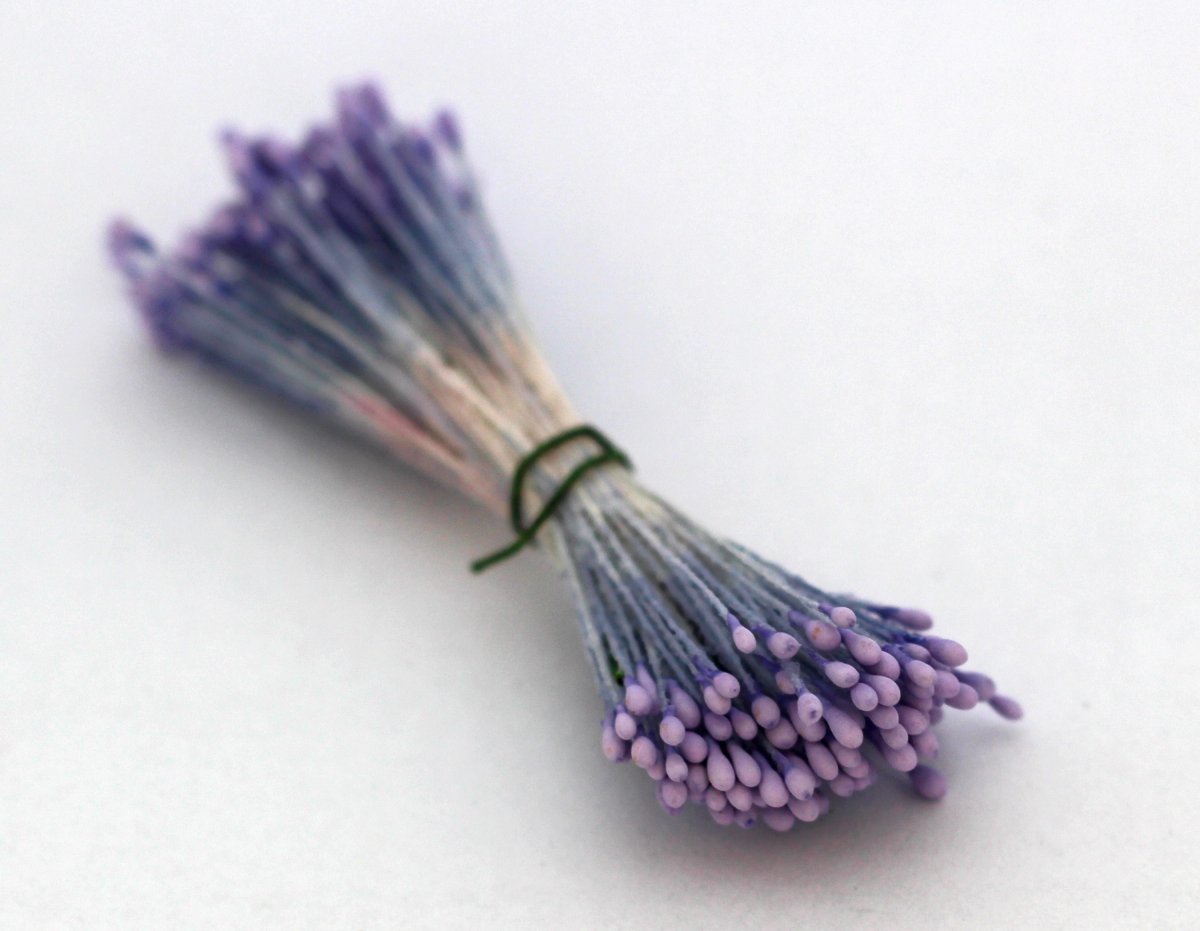 Květinové pestíky oboustranné 5mm (25ks)