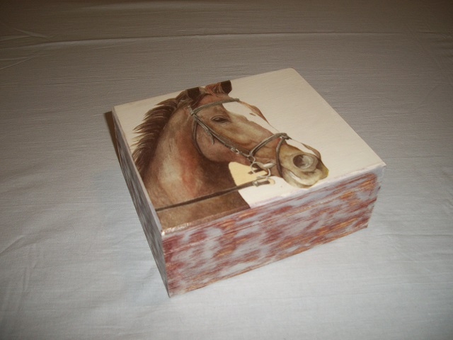 KRÁSNÁ KRABIČKA - Kůn černý-