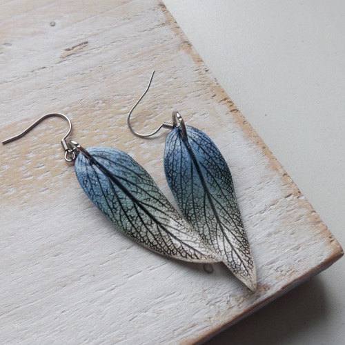 Šalvějové lístky 