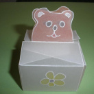 Medvědí krabička