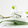"Sněženky" jarní skleněné náušnice