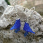 Matné modré kornoutky