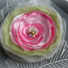 Brož rozkvetlá jabloň.