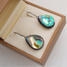 Abalone paua shell perleť elegantní náušnice na chirurgické oceli