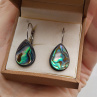 Abalone paua shell perleť elegantní náušnice na chirurgické oceli